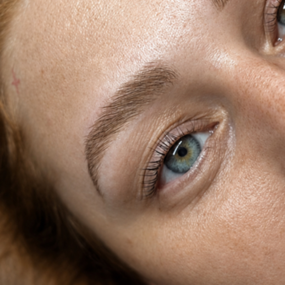 Signature Eyebrow Waxing at Arched in Studio City, CA