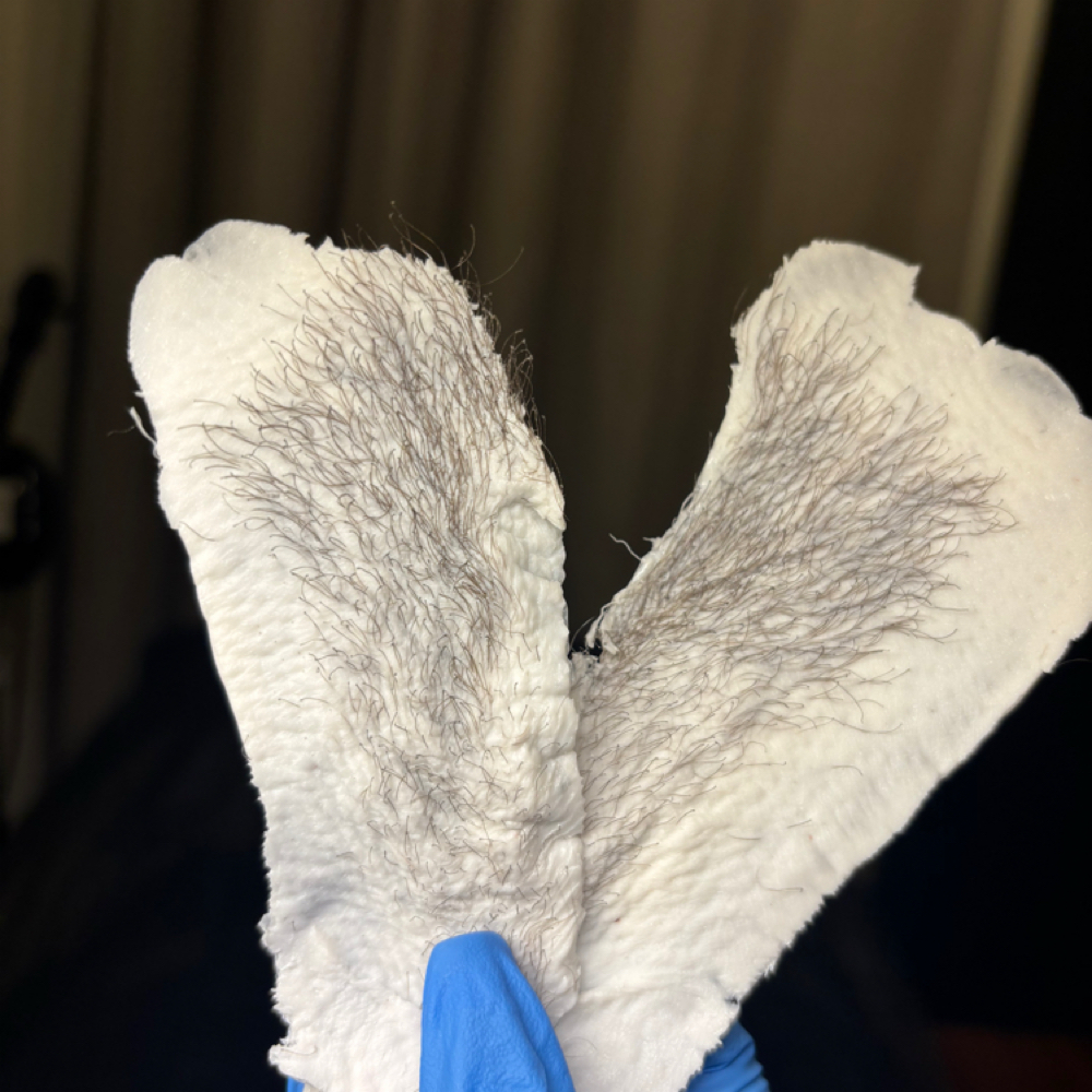 Body Wax Bundle at Beautify Esthetics in Columbus, OH