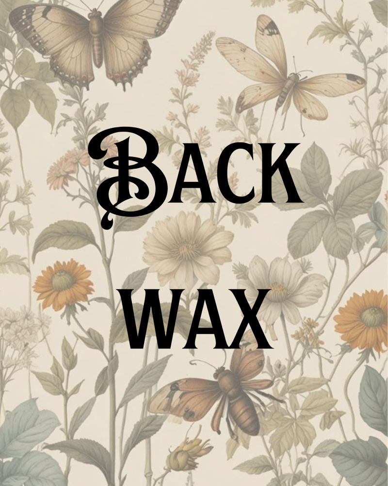 Back Wax at Blossom & Thorn Beauty Bar in Indianapolis, IN