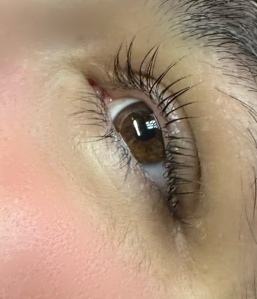 Lash Lift