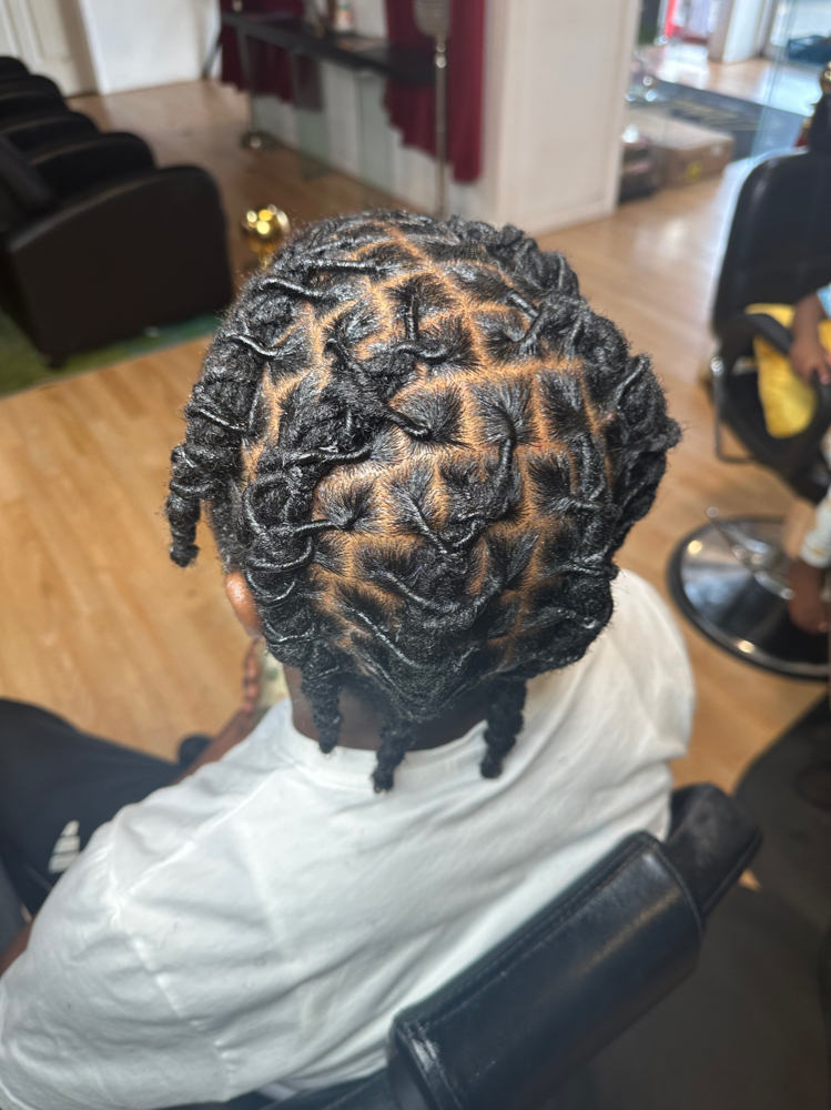 Retwist&Style Only