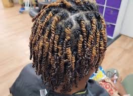 Small Dreads, Two Strand, Plats