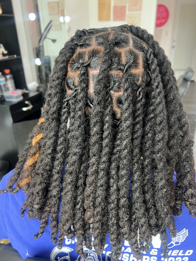 Two Strand Twist