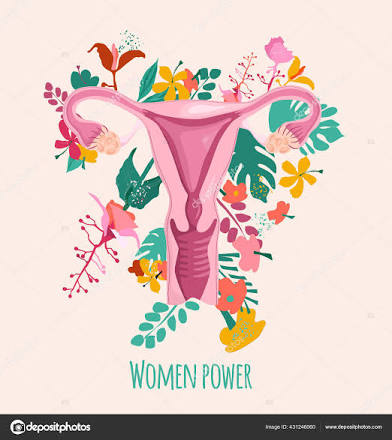 Womb Whisper Steam at SheRiseWellness in Hampton, VA