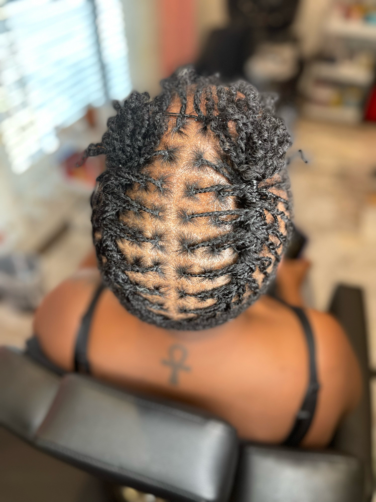 Micro Locs Box Top