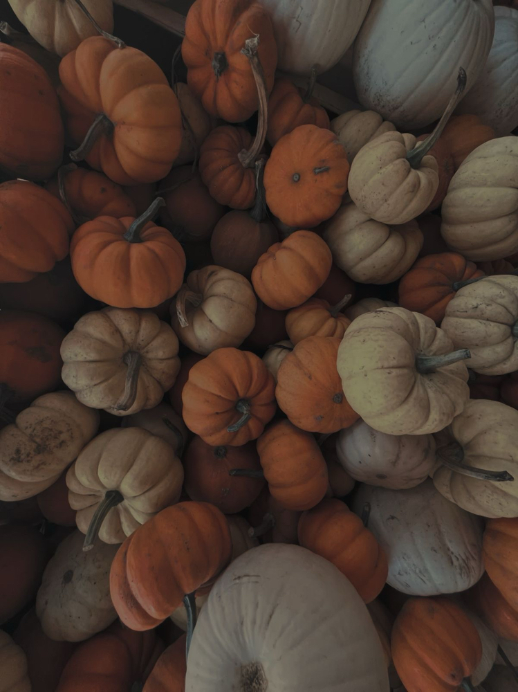 Pumpkin Spice & Everything Nice