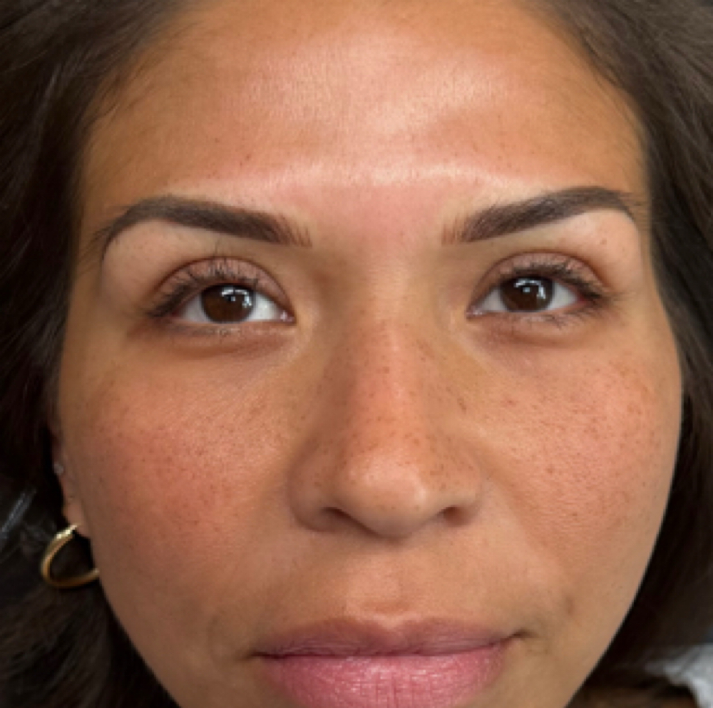 PMU * 6 Week Touch Up at Artistry by Lucy in Fairfax, VA
