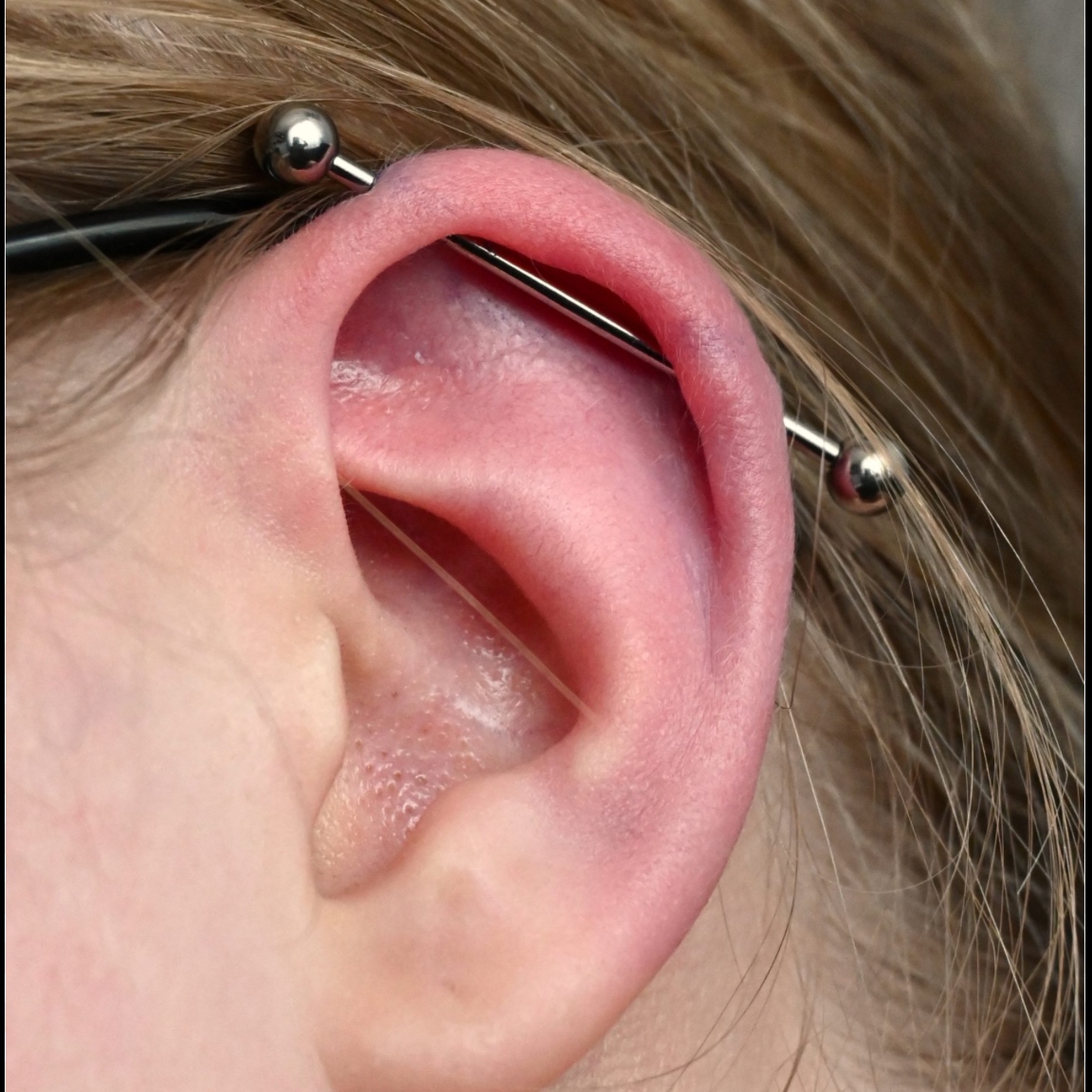 Industrial piercing at Piercing by Dee in Santa Ana, CA