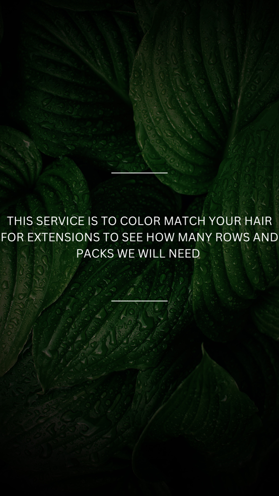 Hair Color/extensions Consult