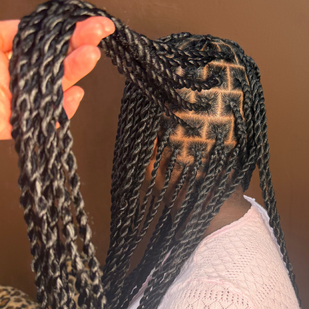 Knotless Twists (Smedium) at Diliaspecialtouch LLC in Dracut, MA