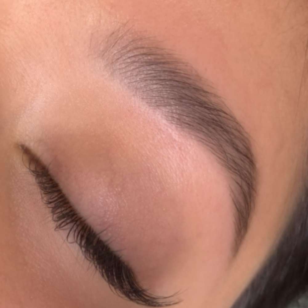 Brow Lamination + Wax & Tint at Wildflower Beauty Studio in East Meadow, NY