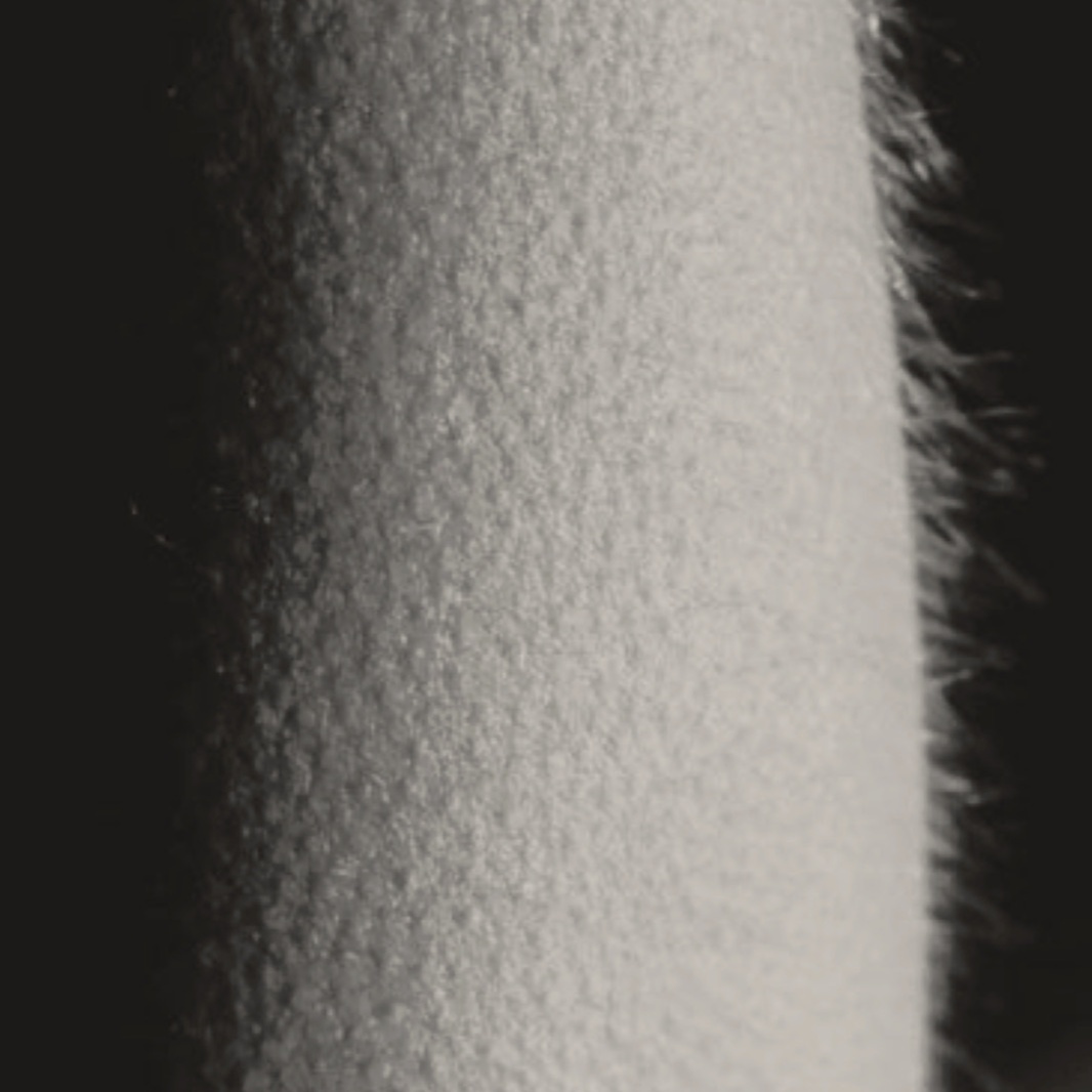 Tranquil Touch 1 Hour at Ink and Glow by Nicole in Tariffville, CT