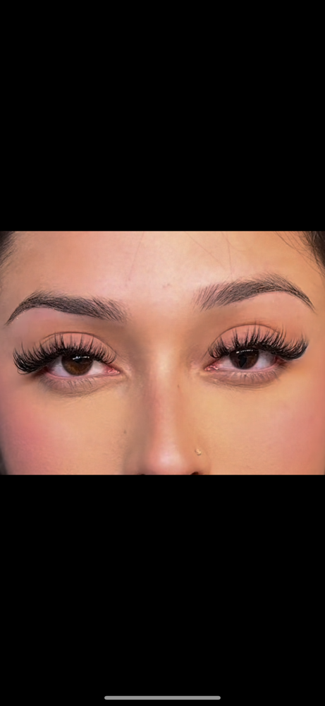 Wispy Lash Fill