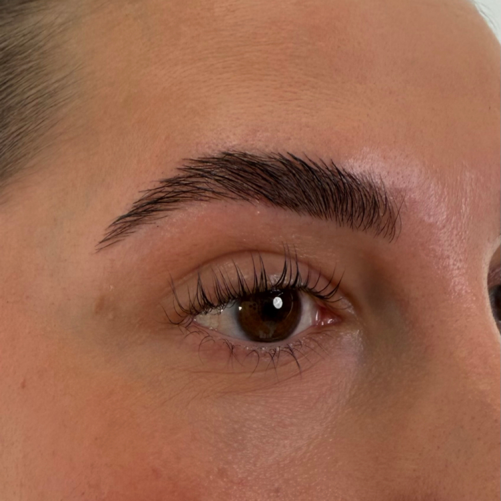Korean Lash Lift at Tampa Lash Co. in tampa, FL
