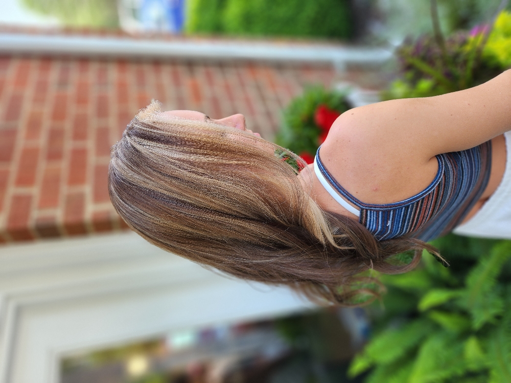 Highlights Through Top Half