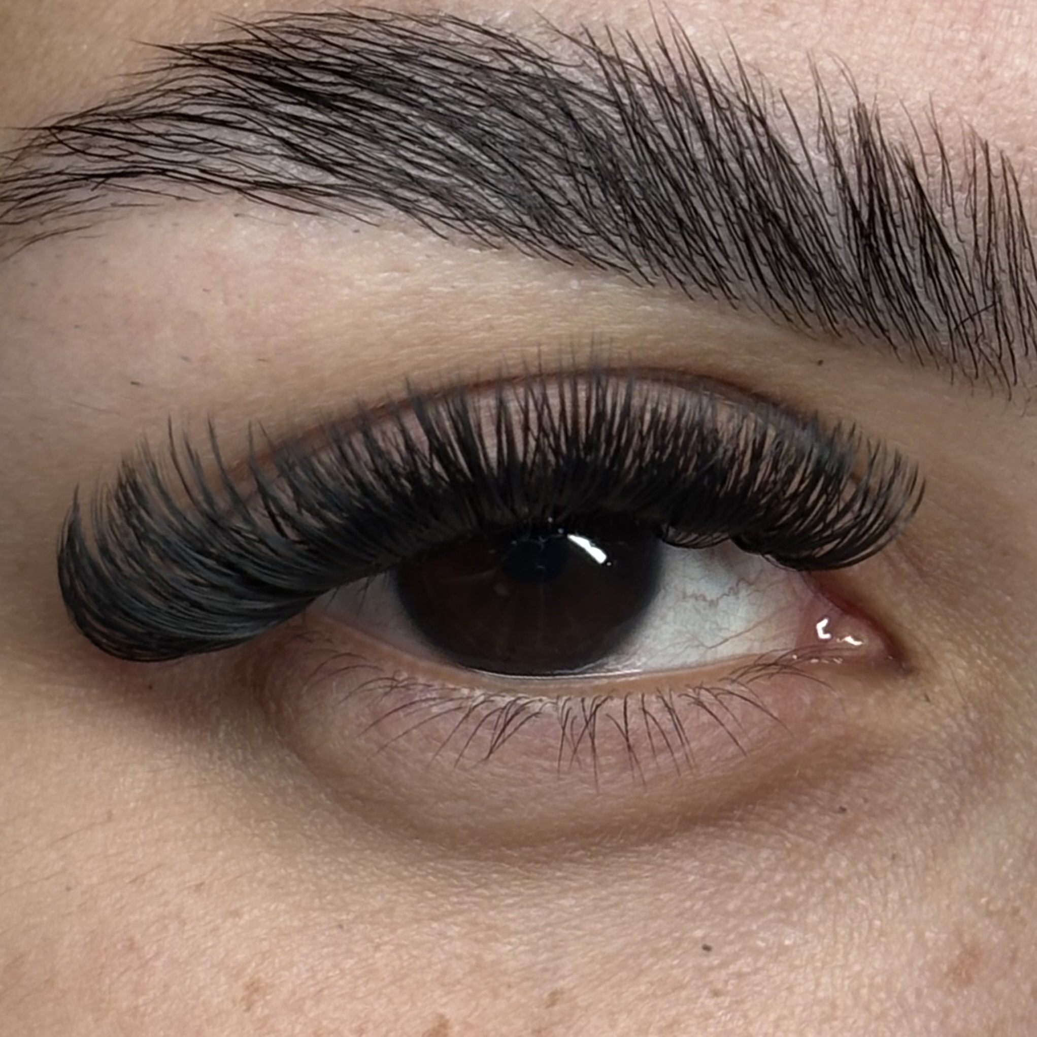 Light Volume at Born Beaute in Mission, TX