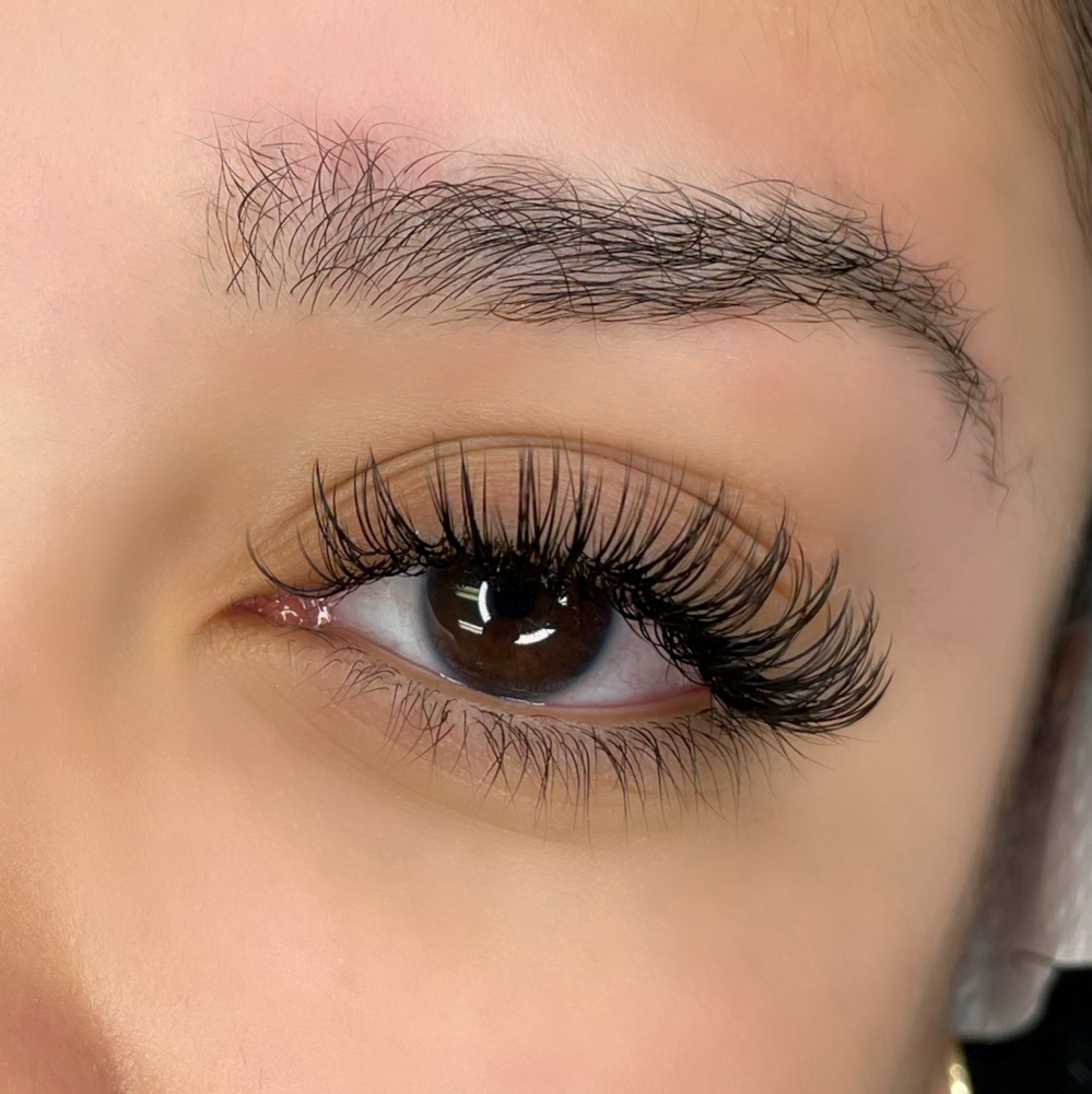 Classic Lashes