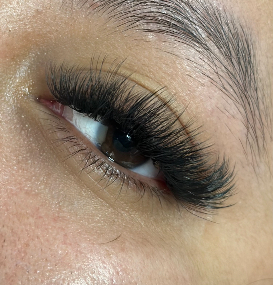 Volume Lash Extension