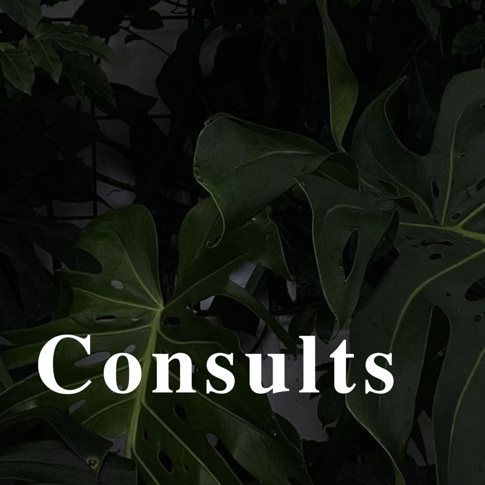 Consultations