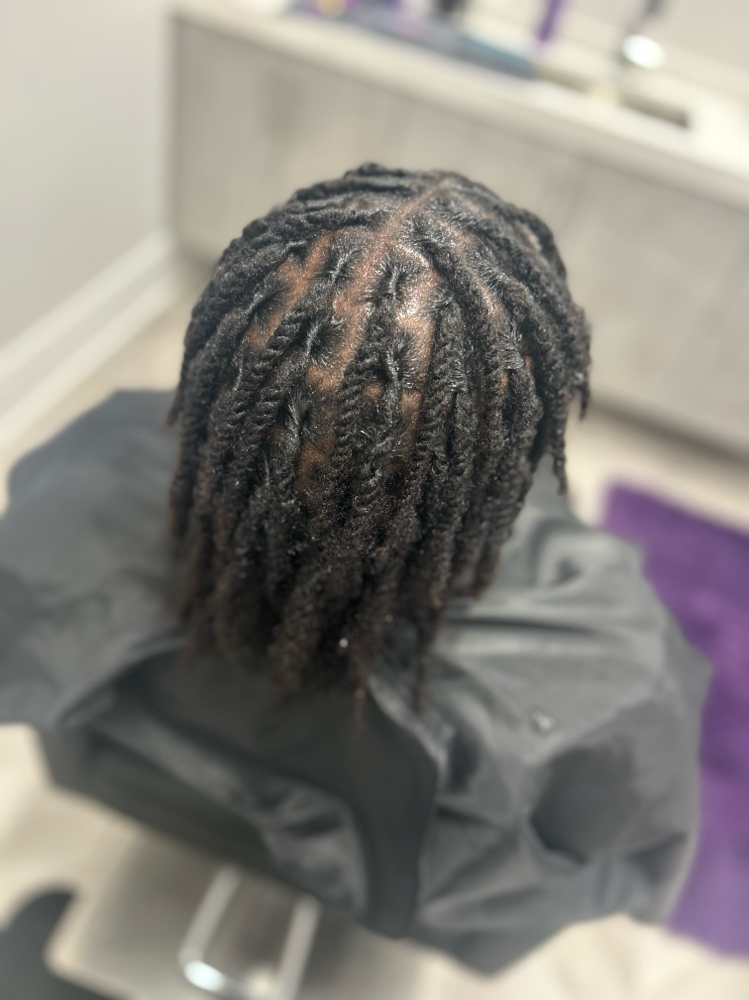 Starter Locs