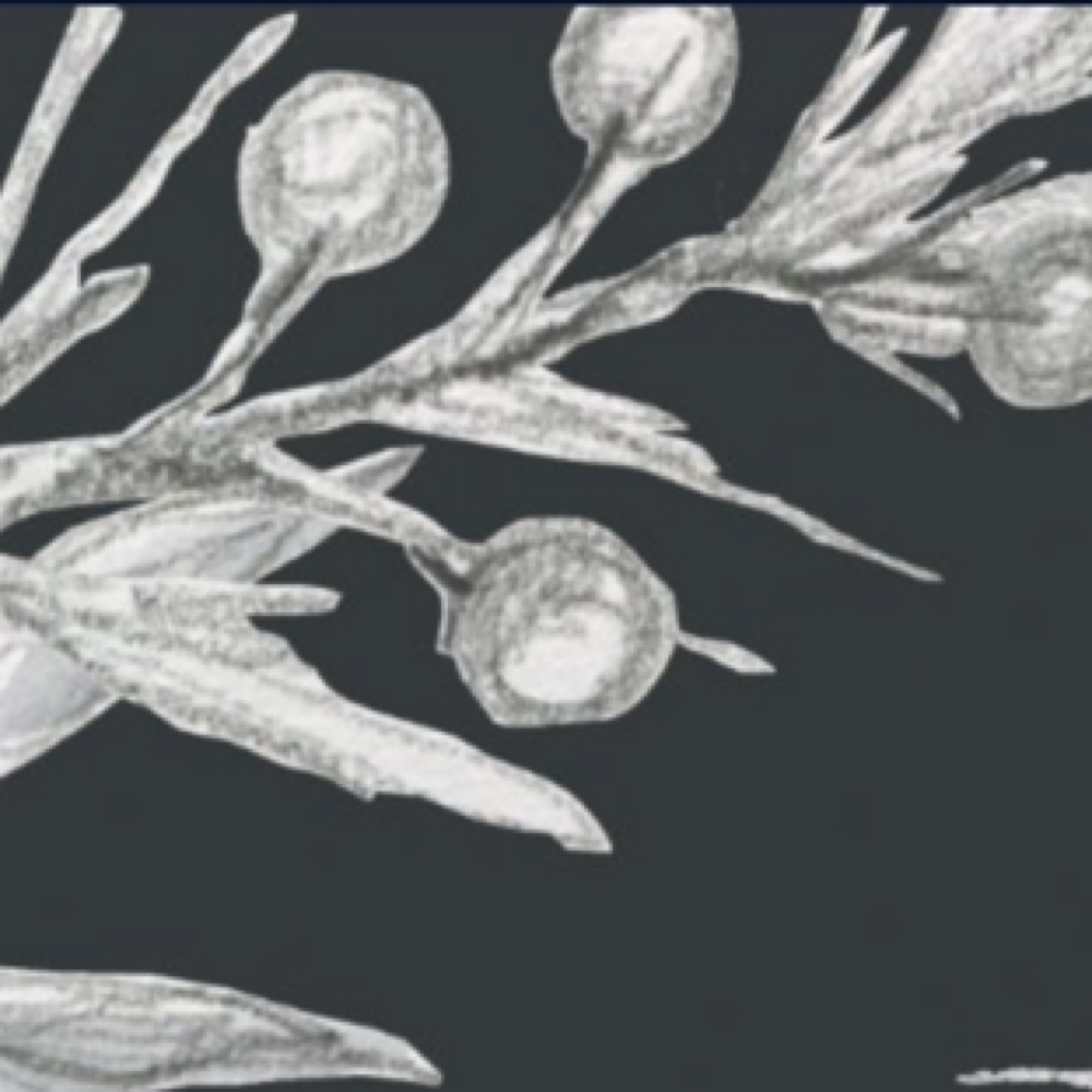 Microcurrent With LED Add On at Skin Nirvana in Greeneville, TN