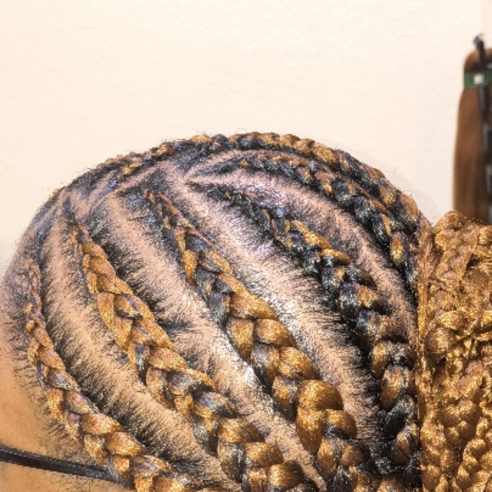 Feed Ins (6-8 braids) at Elegant Disclosure Hair Studio in Blaine, MN
