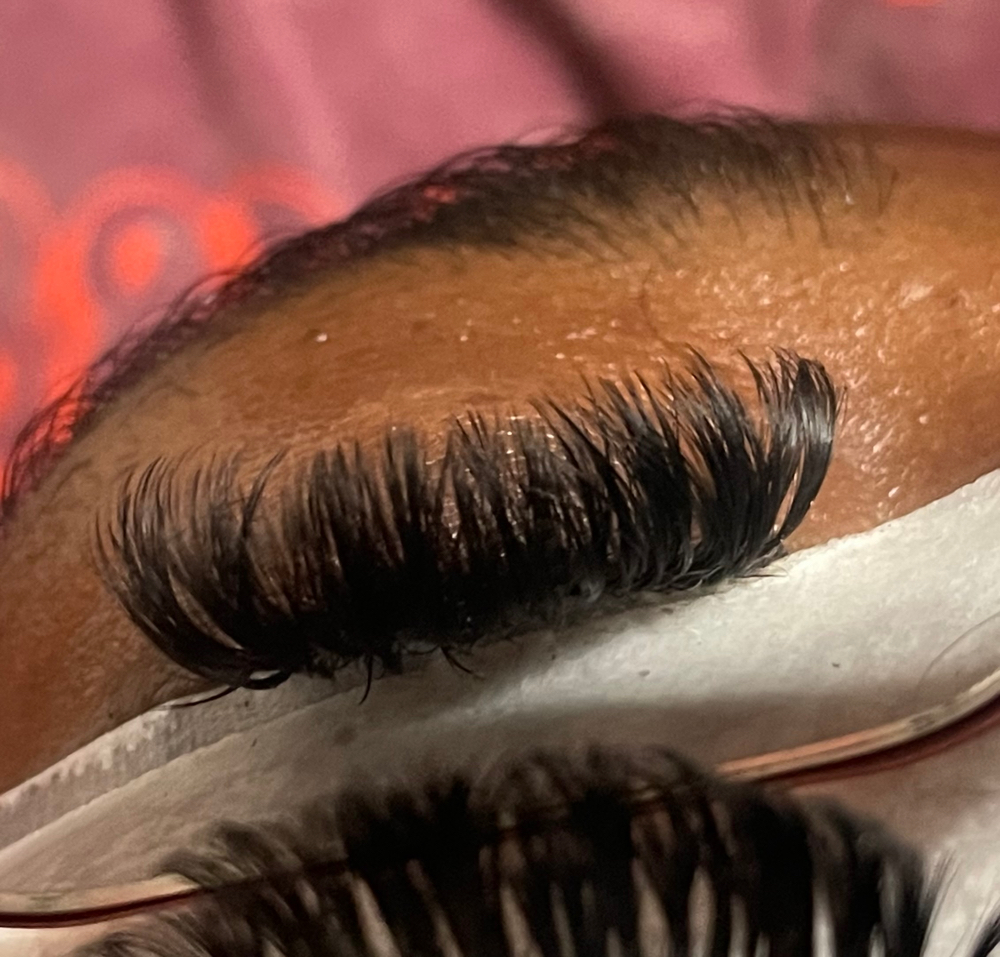 Mega Volume Lash Extensions