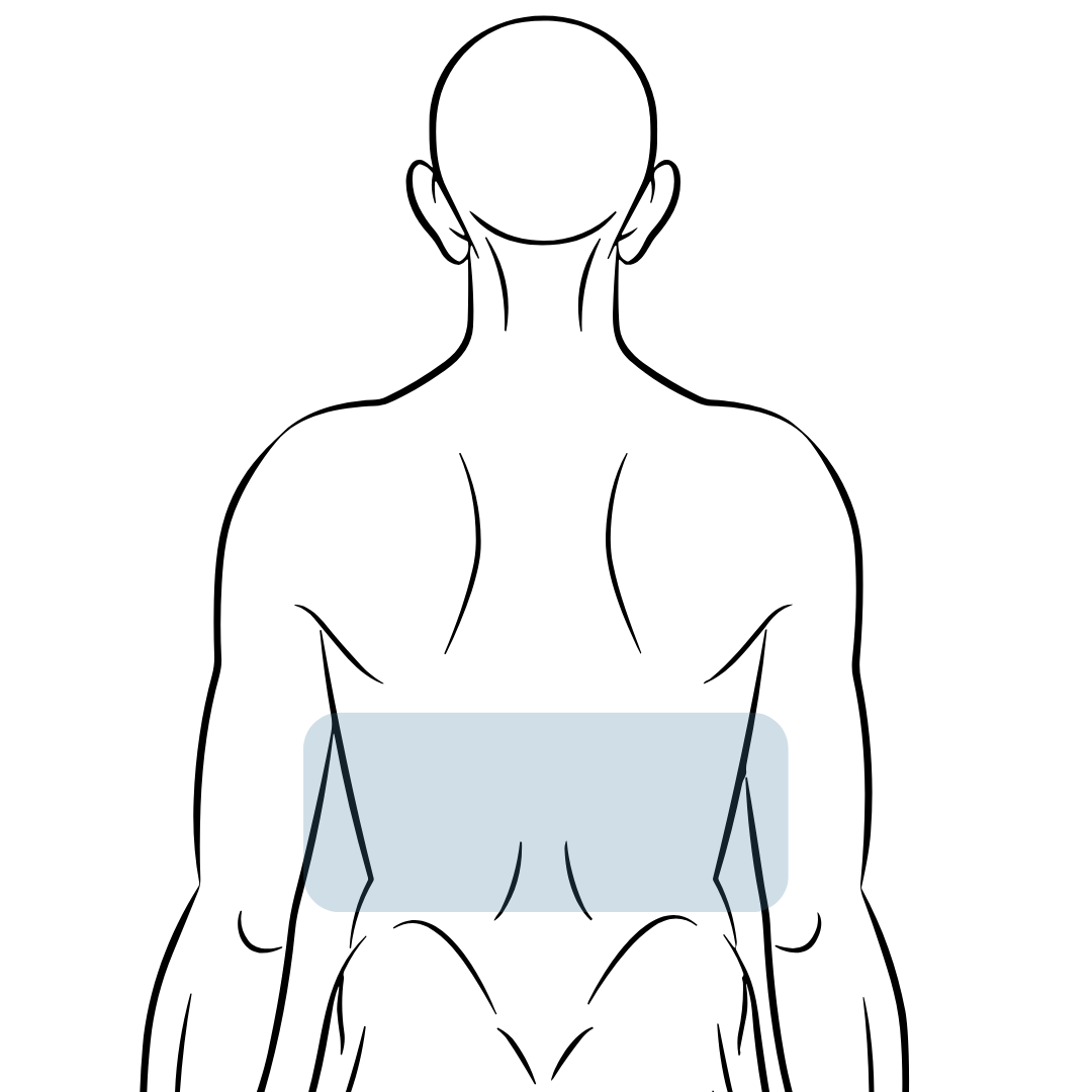 Student Mens Lower Back