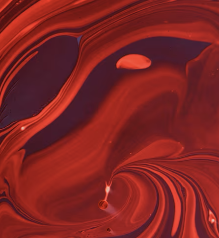 Partial Balayage + Cut at Dawn Needs in Canton, OH