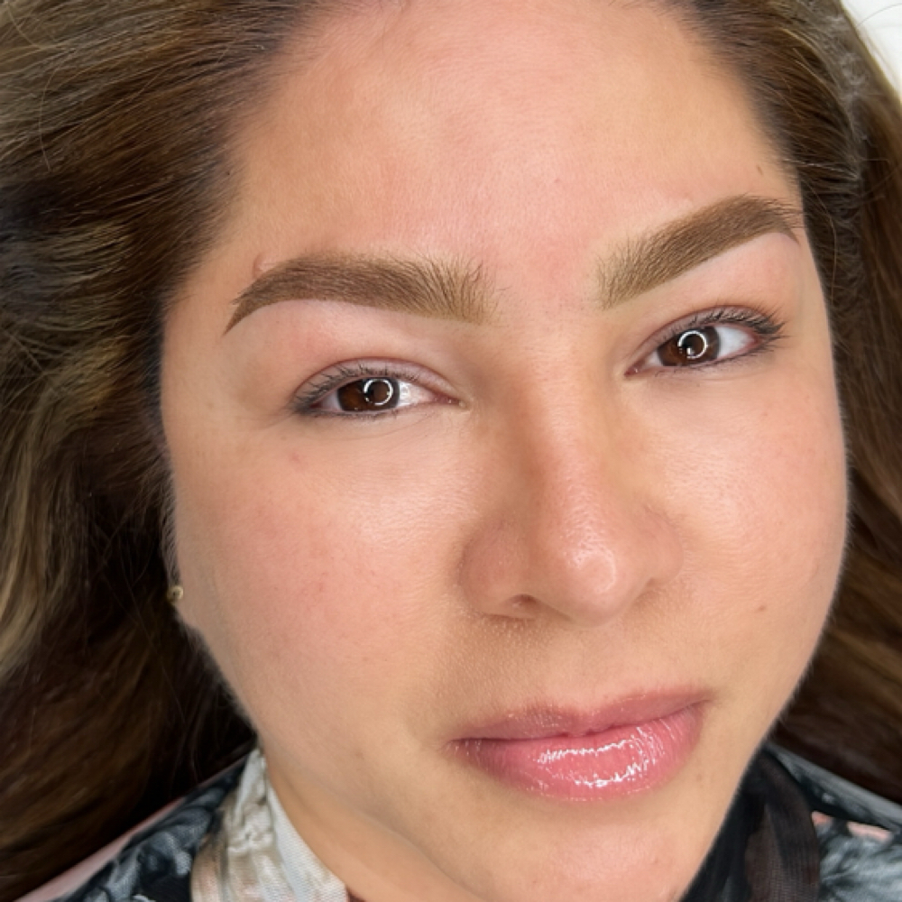Brow Touch Up (1-3 Months)