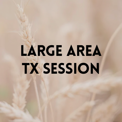 LARGE Area | LHR Session