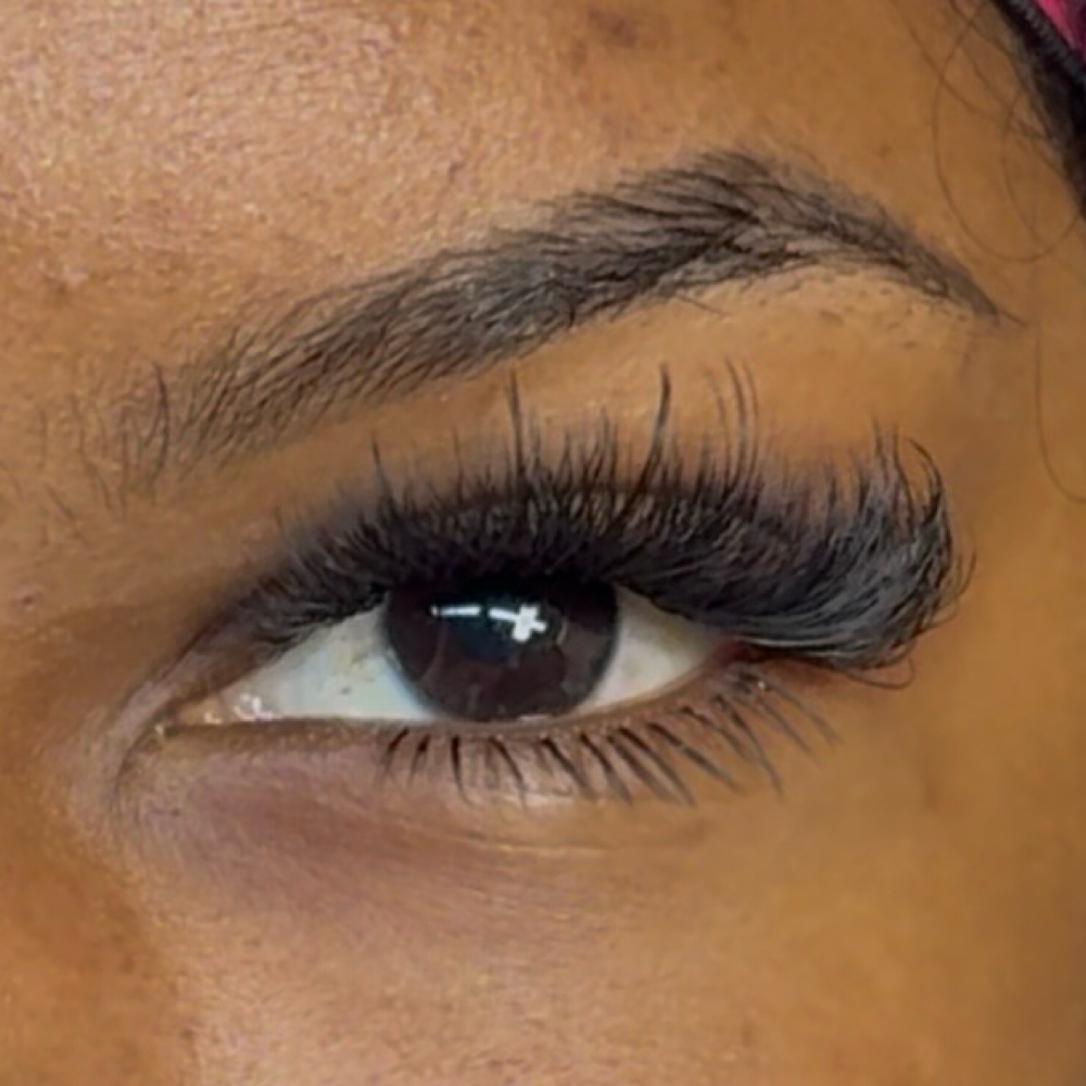 Bottom Lashes (only) at Lashes by Priscila Paiva in Hyannis, MA