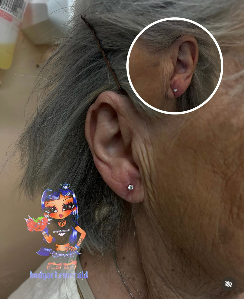 Ear Lobes (Pair) at Bodyart By Emerald Esme 🖤🕷️ in El Centro, CA