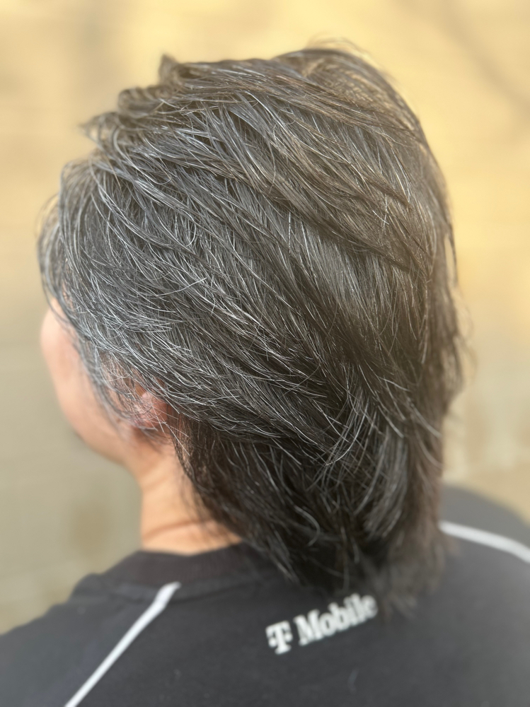 Mens Shear Cut