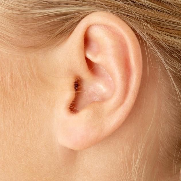 Ears at Waxes By Andrea in Durham, NC