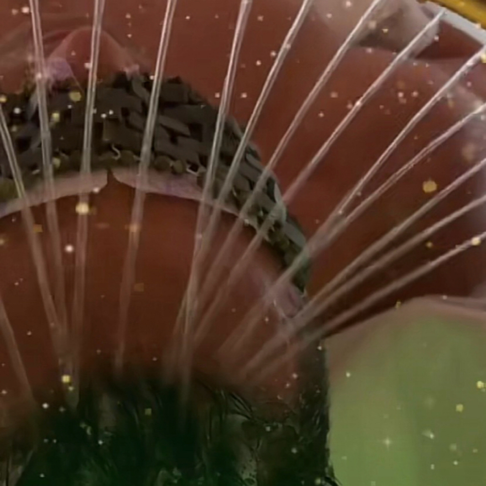 🌊 90min CEREMONY RITUAL at down to the root head spa in SAN DIEGO, CA