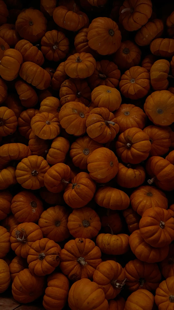 OxyGlow Pumpkin Facial