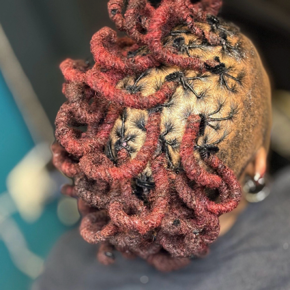Loc Retwist-Pipe Cleaners at By Kaila Nichelle Beauty Studio in Parkville, MD