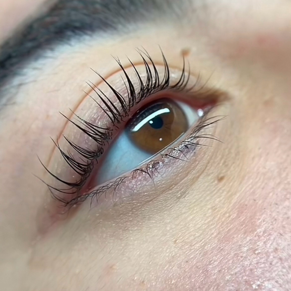 Korean Lash Lift at Tay Esthetics in Pueblo, CO