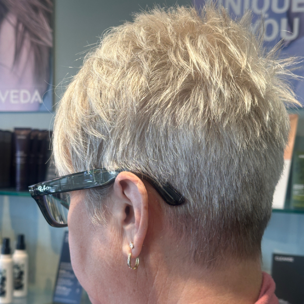Woman's Cut & Style at Pret-a-Porter Salon @ Corva Studio in La Mesa, CA