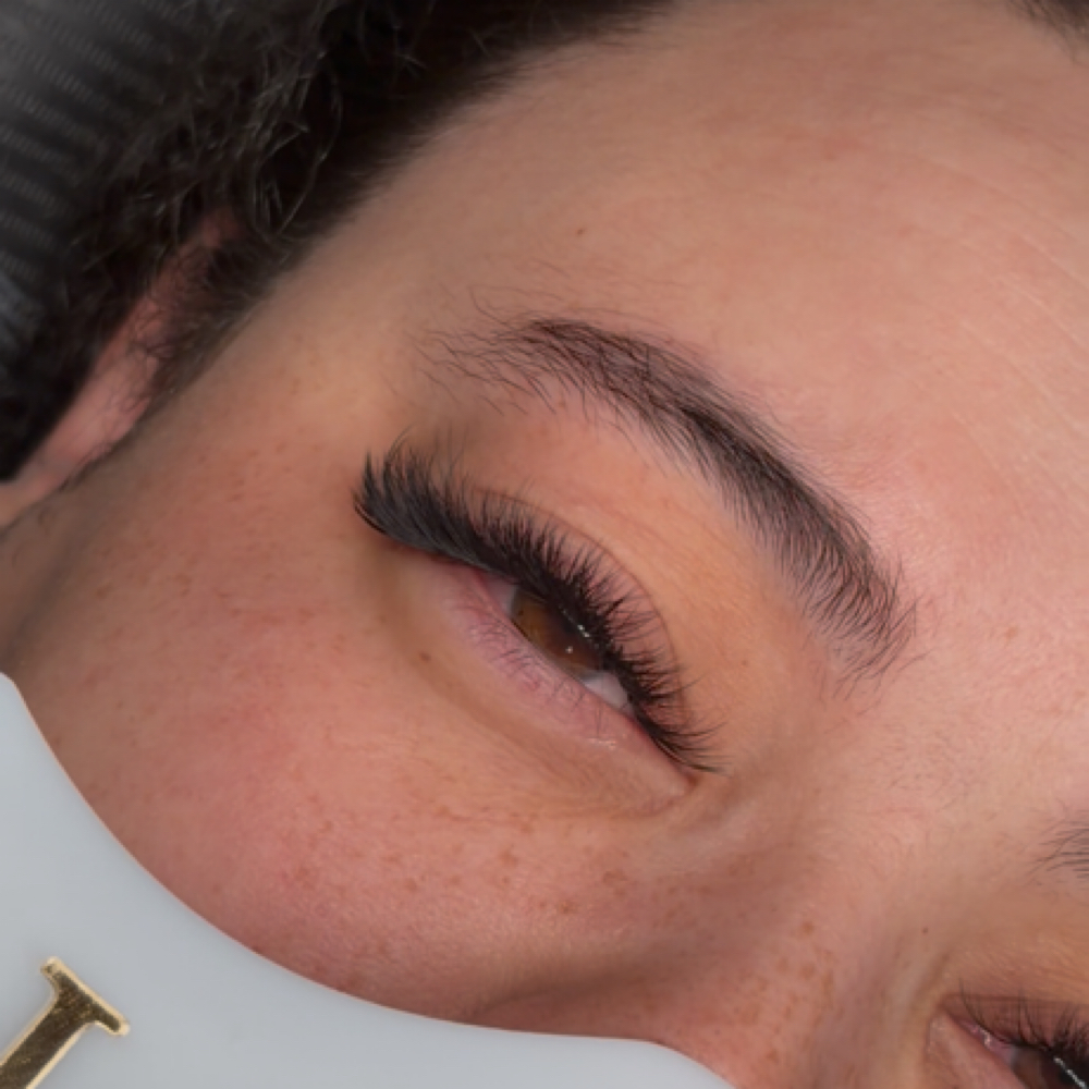 Siberian Mink Volume Set at 74NYNE - The Eye Edit in Laurel, MD