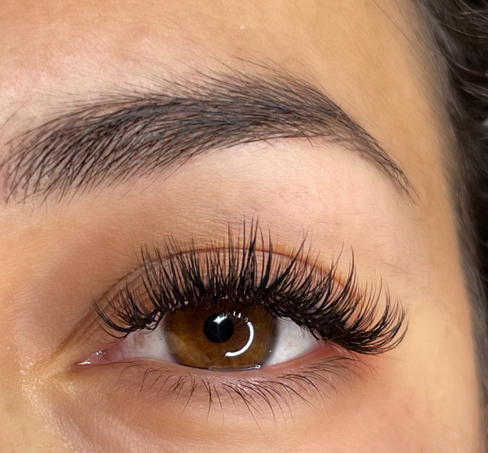 Hybrid Lashes