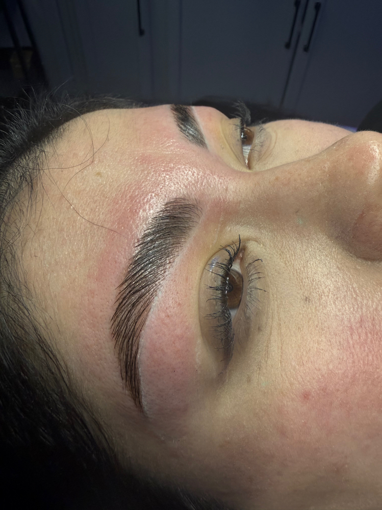 Brow Lamination+Wax+Tint
