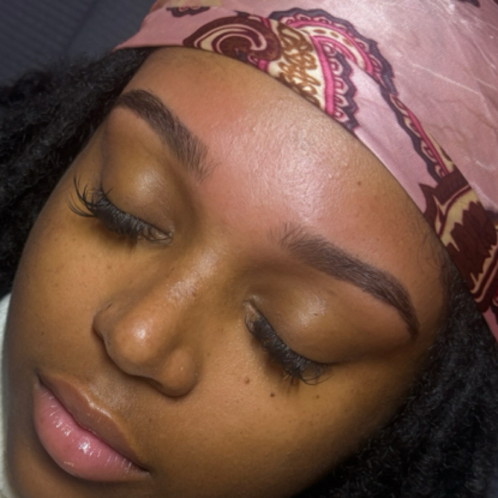 Tint ONLY at Shaded By Chante in Decatur, IL