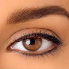 Permanent Eyeliner BOTTOM Only