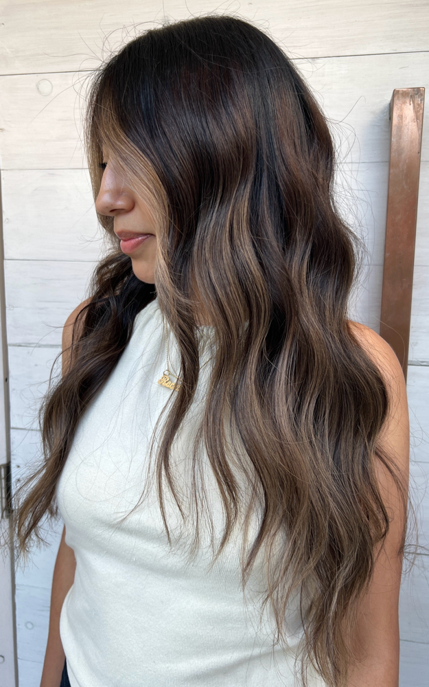 Partial Balayage and Blowdry