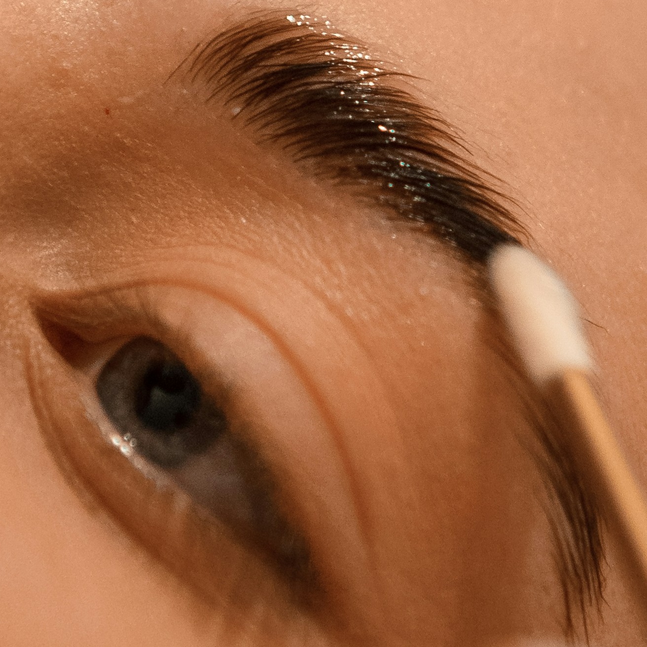 Brow Lamination & Tint at Living Waters Renewal in Colorado Springs, CO