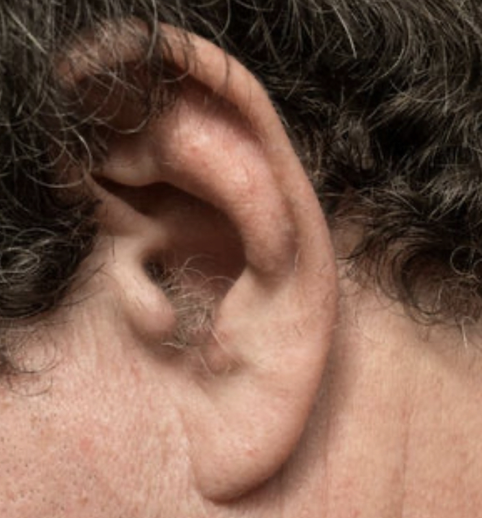Ear