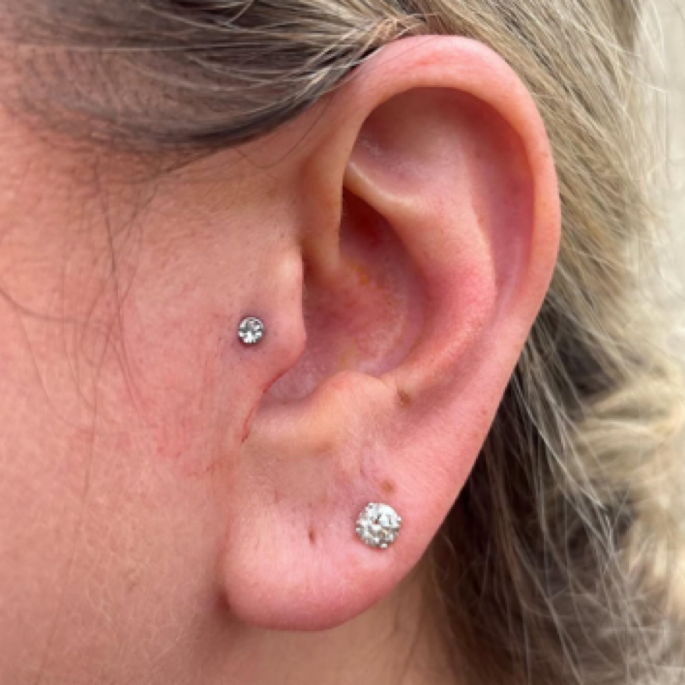 TRAGUS at DeAna’s Diamonds in Green cove springs, FL
