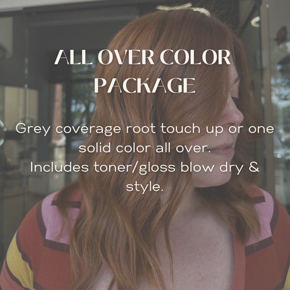 All Over Color at Ash & Honey Hair Co. in Alpharetta, GA